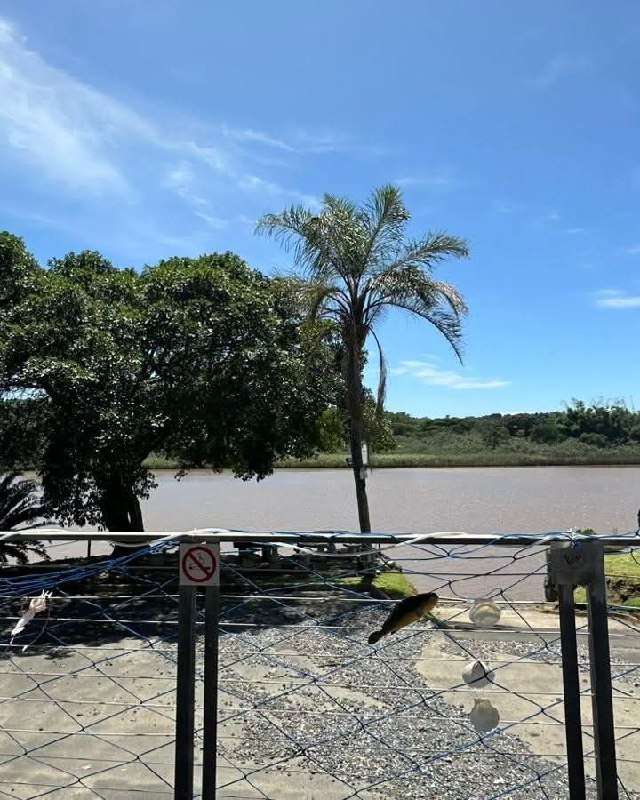 Restaurant view